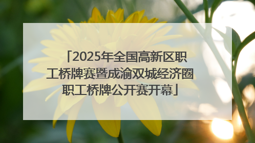 2025年全国高新区职工桥牌赛暨成渝双城经济圈职工桥牌公开赛开幕