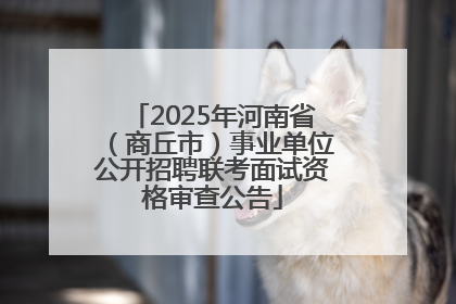 2025年河南省（商丘市）事业单位公开招聘联考面试资格审查公告
