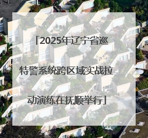 2025年辽宁省巡特警系统跨区域实战拉动演练在抚顺举行