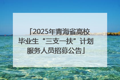 2025年青海省高校毕业生“三支一扶”计划服务人员招募公告