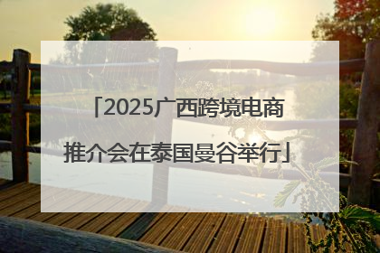 2025广西跨境电商推介会在泰国曼谷举行