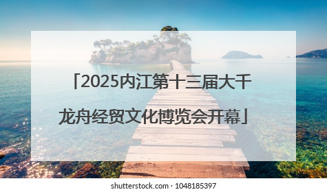 2025内江第十三届大千龙舟经贸文化博览会开幕