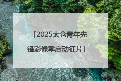 2025太仓青年先锋影像季启动征片