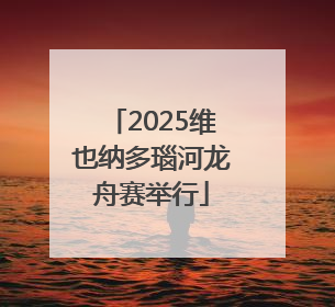 2025维也纳多瑙河龙舟赛举行
