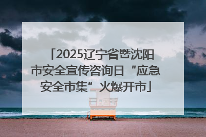 2025辽宁省暨沈阳市安全宣传咨询日“应急安全市集”火爆开市
