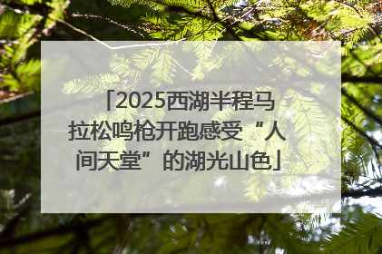 2025西湖半程马拉松鸣枪开跑感受“人间天堂”的湖光山色