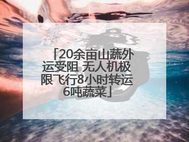 20余亩山蔬外运受阻 无人机极限飞行8小时转运6吨蔬菜