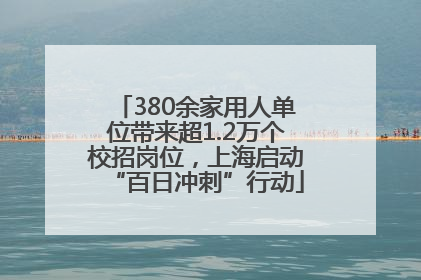 380余家用人单位带来超1.2万个校招岗位，上海启动“百日冲刺”行动