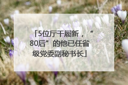 5位厅干履新，“80后”的他已任省级党委副秘书长