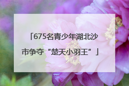 675名青少年湖北沙市争夺“楚天小羽王”