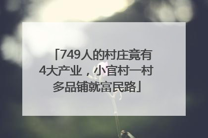 749人的村庄竟有4大产业，小官村一村多品铺就富民路
