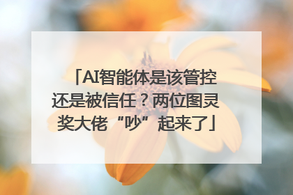 AI智能体是该管控还是被信任？两位图灵奖大佬“吵”起来了