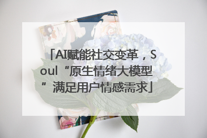 AI赋能社交变革，Soul“原生情绪大模型”满足用户情感需求