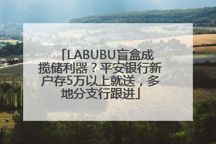 LABUBU盲盒成揽储利器？平安银行新户存5万以上就送，多地分支行跟进