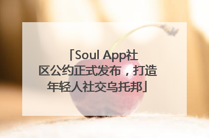 Soul App社区公约正式发布，打造年轻人社交乌托邦